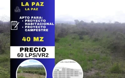 LA PAZ, LA PAZ 40mz