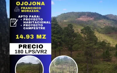 OJOJONA, FM